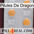 Dragon Pills 24
